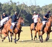 Comienza la temporada de polo en Camet