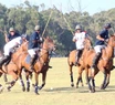 Dos torneos en el Mar del Plata Polo Club