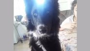 Ofrecen 20 mil pesos de recompensa por Luna