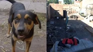 Chiquito despertó a Gabriel y le salvó la vida. 