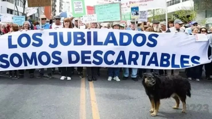 Necesitan colaboración por el estado de salud de Rulo, el perro que acompañó en cada reclamo.