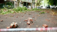 Derrumbes: "El municipio no puede ser el responsable de controlar todos los edificios"