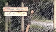 Vuelven a denunciar a un balneario del sur por cerrar "impunemente" la bajada pública