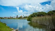 Crearán un parque ambiental en Punta Mogotes. Foto: 0223.
