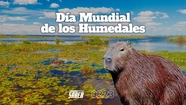 Día de los Humedales: ¿Qué son y por qué protegerlos?