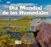 Día de los Humedales: ¿Qué son y por qué protegerlos?
