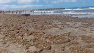 Así se encuentran las playas que están sobre la avenida Félix U. Camet.
