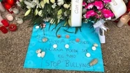 La tragedia reabre el debate por el abordaje y la contención del bullying en las escuelas.