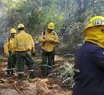 Incendio forestal en Cariló: bomberos pusieron fin al riesgo de que se reactive el fuego