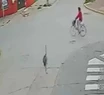 Increíble: un ñandú chocó a un ciclista a toda velocidad