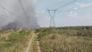 Masivo apagón por la caída de la central nuclear Atucha I: varias provincias están sin luz