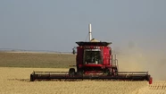 Lanzan en Balcarce un “cluster” dedicado a la industria del agro