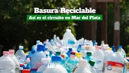 Así es el circuito de la basura reciclable en  Mar del Plata 