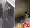 La mujer fue escrachada cuando tiraba a su perrita en un contenedor de basura. 