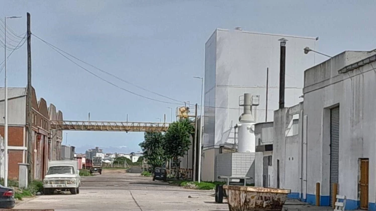 Olores nauseabundos y contaminación: recrudece el conflicto con las harineras | 0223