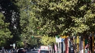 Sin colectivos, algunos patrones pagaron taxis y otros fueron a buscar a los empleados