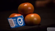 Inta, Inase y Senasa realizan una charla para productores y público en general sobre el virus rugoso del tomate