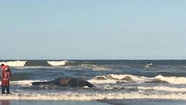 Una ballena varó en Punta Mogotes