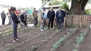 Arroyo recorrió la huerta comunitaria del barrio López de Gomara