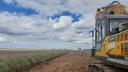 Aprueban la emergencia agropecuaria para Balcarce