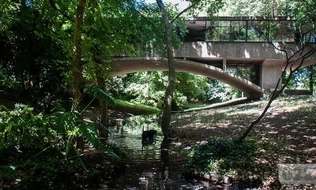 Casa del Puente, un emblema de la arquitectura que resiste el paso del tiempo 