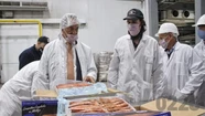 Las exportaciones de langostino a Brasil generarían ventas por 200 millones de dólares al año