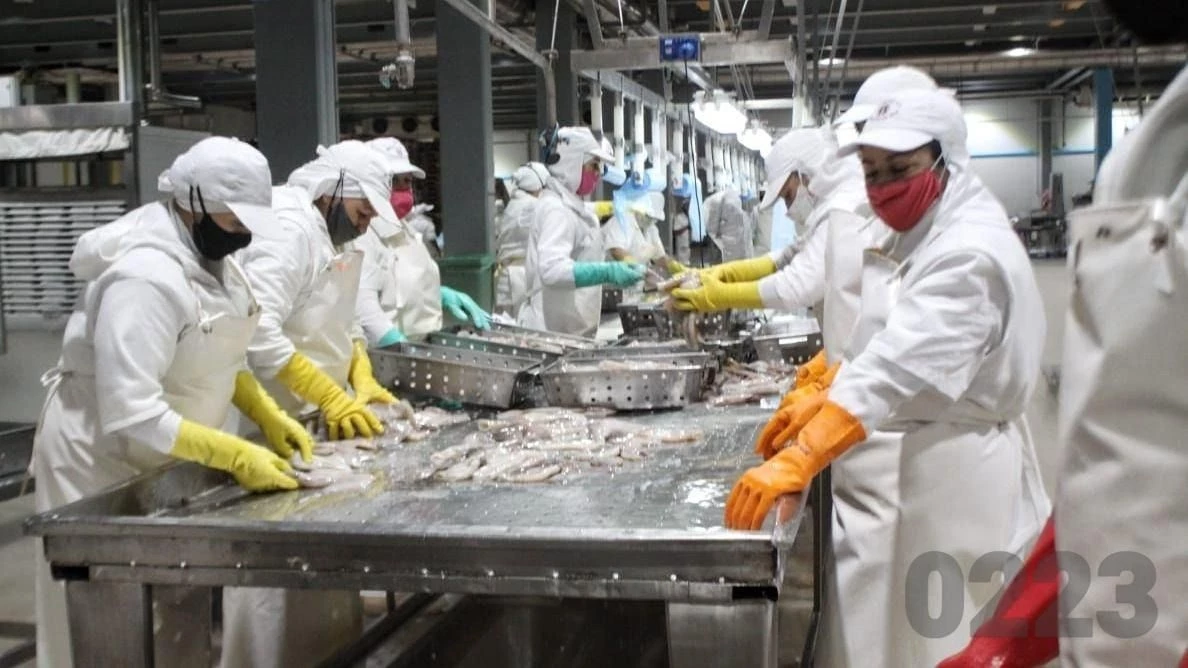 En el primer trimestre alrededor de 3.000 personas dejaron de trabajar de manera directa