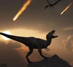 Increíble hallazgo: encontraron un fósil vinculado al asteroide que causó la extinción de los dinosaurios