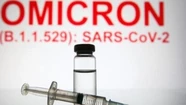 La OMS estudia dos nuevos linajes de la variante Ómicron