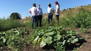 Realizan en Tandil el 4º Encuentro de Agroecología