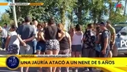 "Se lo estaban comiendo": un nene de 5 años está grave tras ser atacado por una jauría 