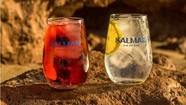 Un gin marplatense ganó la medalla de oro como el mejor “London Dry” del mundo