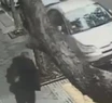 Impactante video: caminaba por la calle y un árbol se le cayó en la cabeza