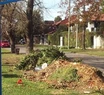 Indignación por un basural a cielo abierto en el corazón del Barrio Santa Mónica