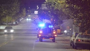 Detectan en Tandil otro caso de un murciélago con rabia