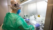 Bioquímicos denuncian hisopados compulsivos en un laboratorio privado