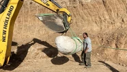 Extraen un gliptodonte en el geoparque Pun Antü de Balcarce