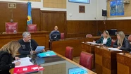 La Comisión de Salud aprobó pedidos de informe tanto al Municipio como al Higa. Foto: Prensa HCD.