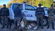 Se llevaban restos de animales y un ñandú vivo.