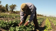 Reclaman al gobierno municipal precisiones sobre compromisos que asumió para desarrollar la agroecología