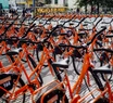 Las 300 bicicletas fueron entregadas en un acto realizado en el complejo universitario. Foto: Prensa MGP.