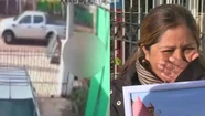Atropelló y mató a un nene de dos años y escapó: quedó libre a los dos días