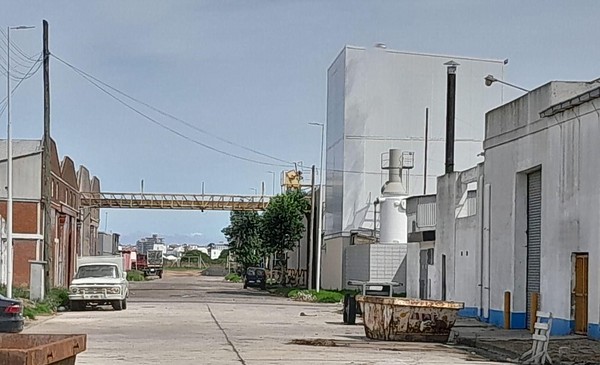 Nueva denuncia contra las harineras del Puerto: piden indagatorias por presunta contaminación con cadmio