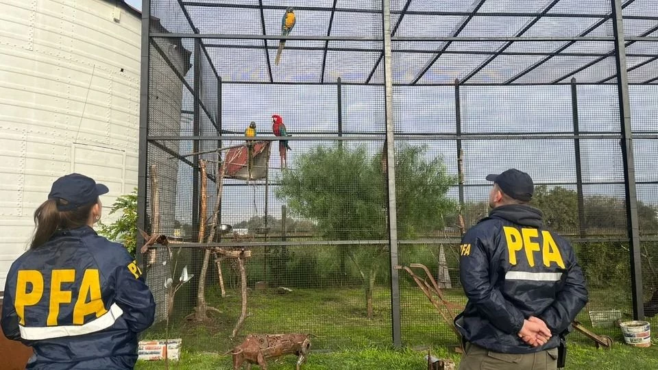 Descubrieron un zoológico clandestino y rescataron animales en cautiverio