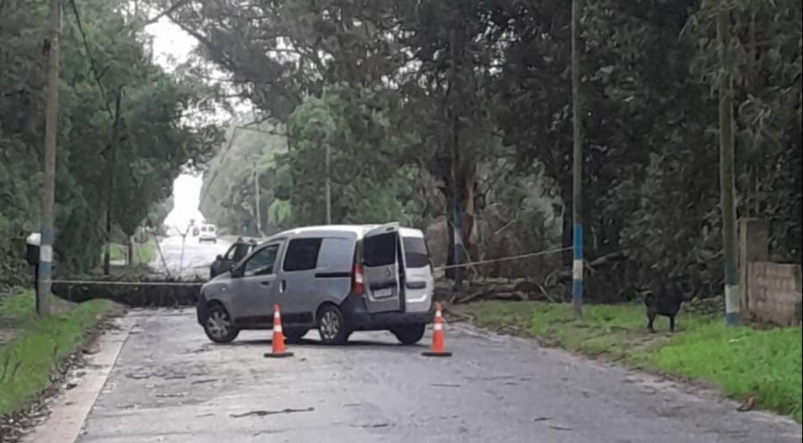 Lunes gris e inestable en Mar del Plata: cuándo llueve