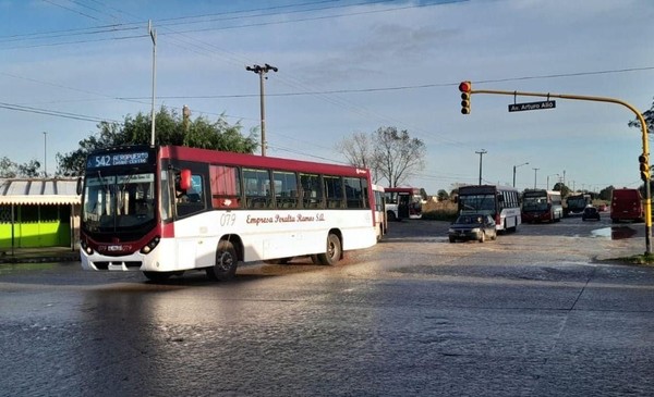 Volvieron los bondis: Mar del Plata se mueve otra vez
