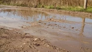 Vecinos de Nuevo Ostende denuncian abandono: "También somos parte de Mar del Plata"