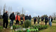La huerta agroecológica de La Movediza cumple dos años y se consolida