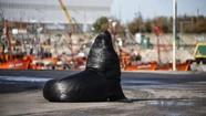 Aval para que el fondo turístico se use solo para promocionar Mar del Plata