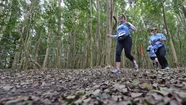 Las inscripciones para los 15K Laguna siguen a gran ritmo
